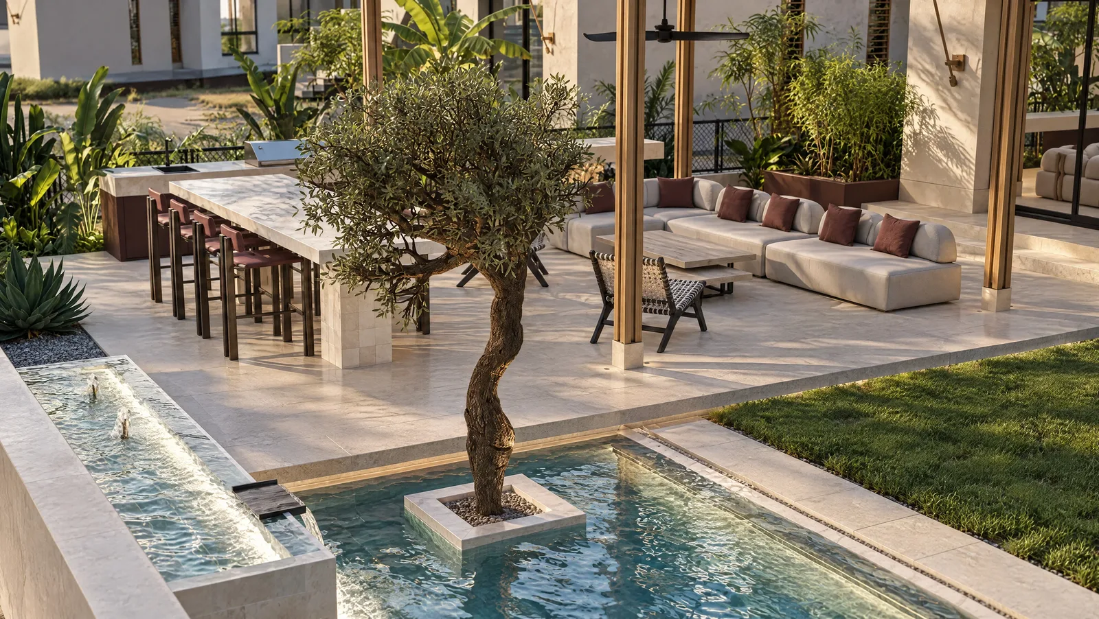 Playa Palms — Pool court with an olive tree